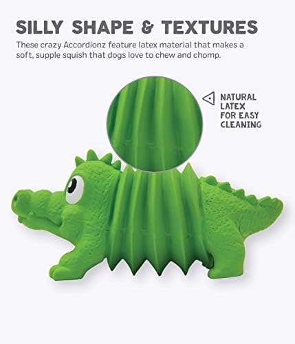 Outward Hound Accordionz Latex Rubber Squeaking Toy - Squeaky and Grunting Dog Toy, Alligator