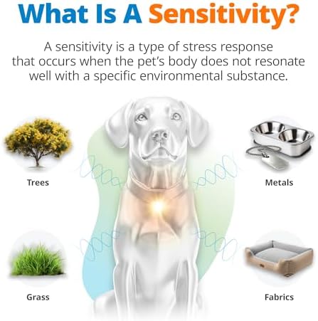 5Strands Pet Environmental Sensitivity Test for Skin Health | 310 Items Tested, At-Home Hair Analysis for Dogs & Cats All Breeds, Test Fabrics, Grass, Trees, Pollen, Results in 4 Days