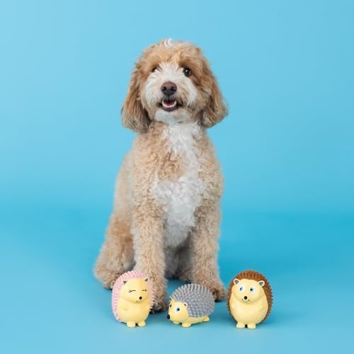 Fringe Studio Dog Toy Set, On A Roll, 3Pc Mini, Latex, Pet Shop Collection (367041)