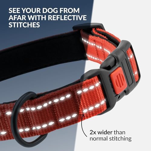 Reflective Dog Collar, Quick-Release Buckle (Orange, 12-16 Inch)
