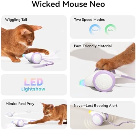 Interactive Cat Toys for Indoor Cats - Automatic Moving Kitten Toys, Wicked Mouse Neo Cat Toy with Tail & Lights, Pet Cat Supplies, Rechargeable Cat Toys for Bored Indoor Adult Cats, Purple
