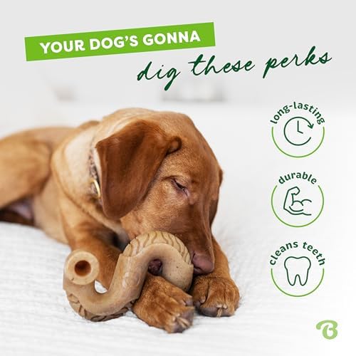 Benebone Tripe Bone Durable Dog Chew Toy for Aggressive Chewers, Small