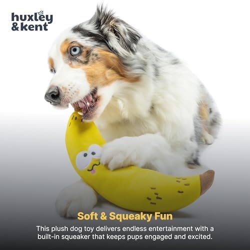 Huxley & Kent Funny Dog Toy w/Squeaker – Power Plush Squeaky Dog Toys for Small, Medium & Large Dogs – Soft Stuffed Animal for Indoor Play & Fetch - Fetchies® Bruiser Banana, Large