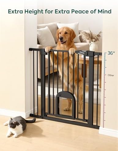 Babelio 36" Tall Baby Gate with Cat Door, CatPrivilege III, 29-43"