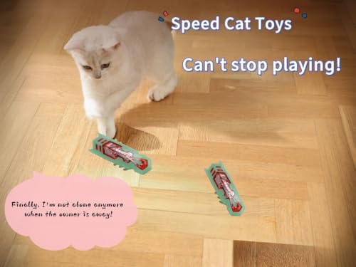 Cat Interactive Toy Educational Cat Teaser Toy 2PCS Electronic Beetle Interactive Set for Indoor Cats Kitten Chase Exercise Battery Operated