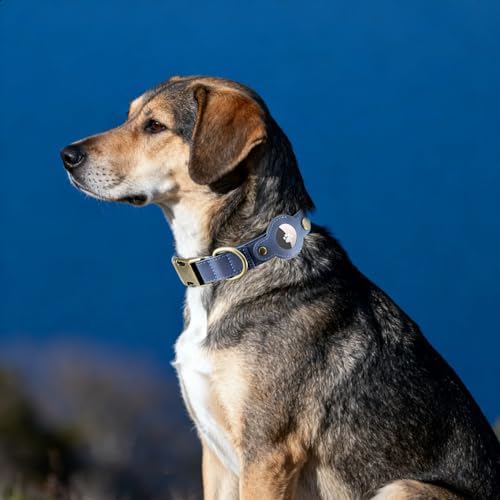 Airtag Dog Collar, PU Leather Collar w Airtag Holder for Medium Dogs(Blue)