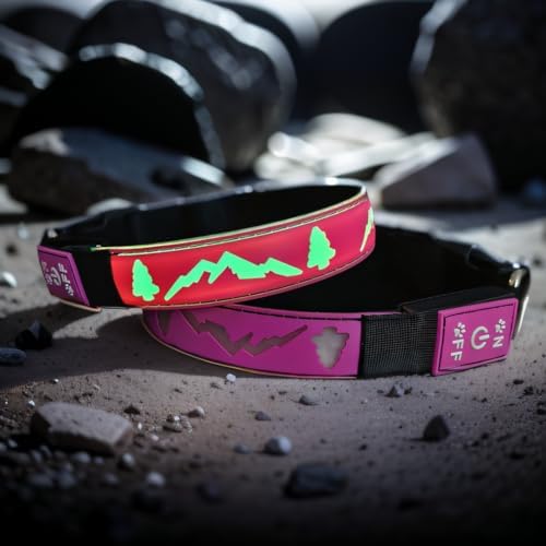 Customlized Name Flashing USB-C led Light up Dog Collar with airtag Holder, Subversive 3D Design Comfortable and Soft Material,Multicolored Lighting (Pink, M(11.8-15.7"))