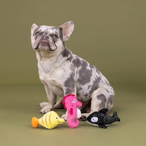 Fringe Studio Plush Dog Toy, 3 Pieces Set, HIGH FIN Buds, Pet Shop Collection (662174)