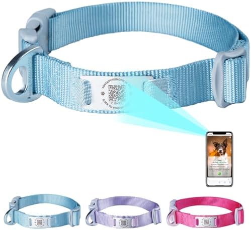 ADVENTUREMORE Smart ID Tag QR Code Nylon Dog Collar - Prevents Small, Medium, Large Dogs from Getting Lost at Night, Displays Owner and Pet Details - Durable, Adjustable, Thick-Teal-Small