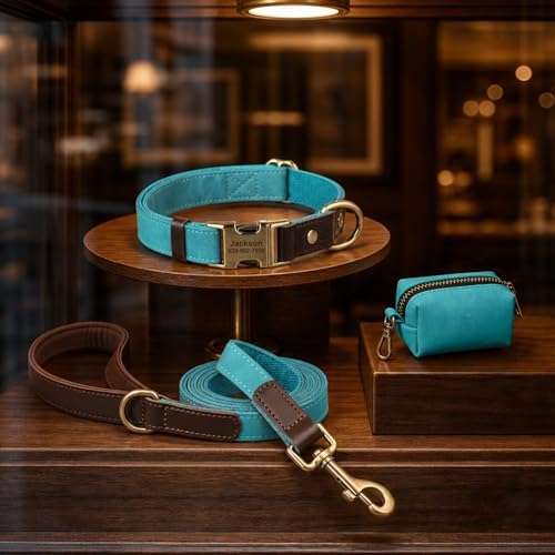 Personalized Dog Collars, Quick Release Buckle, Light Blue,M