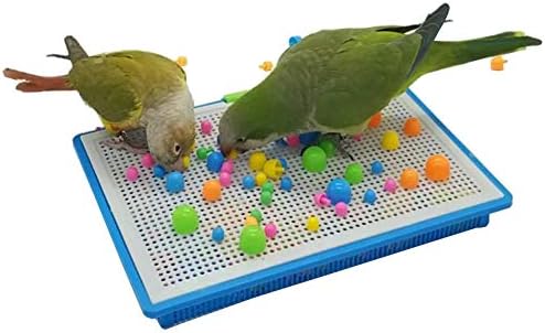 QBLEEV Parrot Puzzle Toys - Bird Intelligence Training, Parakeet & Conure Cage Accessories, Cockatiel Foraging & Chewing Toys