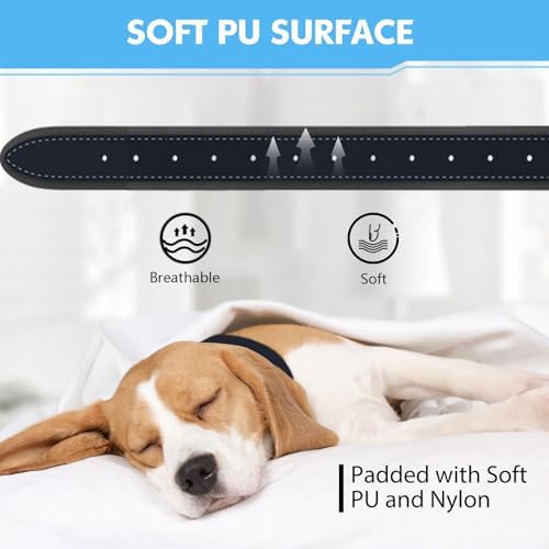 GPS Tracker for Dogs, 2 in 1 Smart Pet Collar (Only iOS), No Monthly Fee Waterproof Dog Collar with Real-time Tracking, Anti-Lost, 365-Day Long Battery GPS Tracker for All Sized Dogs(Locator Included)