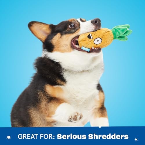 BarkBox Penny The Pineapple 2-in-1 Interactive Plush Dog Toy