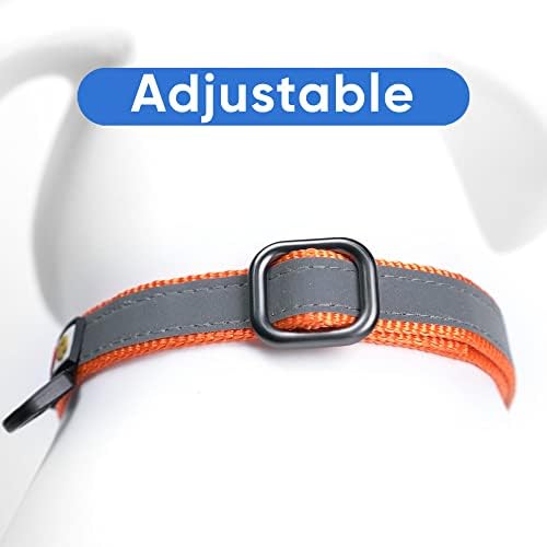 Pawtitas Personalized Dog Collar Martingale Dog Collar with Name Phone Number Reflective Martingale Dog Collar Customized Collar for Medium Dogs | Orange Custom Dog Collars for Medium Dogs