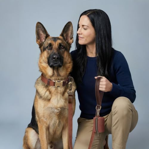 Personalized PU Leather Dog Collars,Quick Release Buckle,Brown,XL