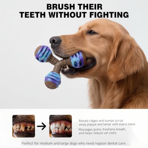 MECOOL Durable Dog Chew Toys for Medium Dogs - Squeaky Rubber Balls with Nylon Reinforcement, Interactive Lick & Chew Toy for Aggressive Chewers, Pet Teething Toy Blue,Bacon Flavored