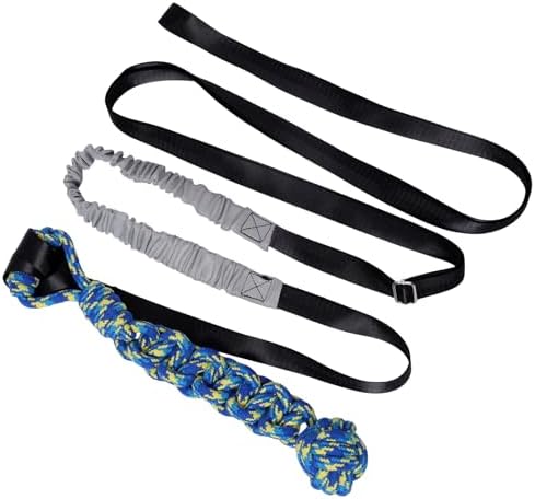 Interactive Dog Bungee Tug Toy Outdoor Hanging Tree Dog Rope Toy with Black Sun-Resistant Rope & Blue Pull Ball Adjustable Tether Tug for Small to Large Dogs Yard Play