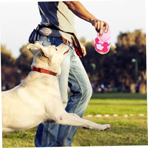 Dog Slipper Squeaker Toy, Oxford Fabric Chew Play Toy for Pets