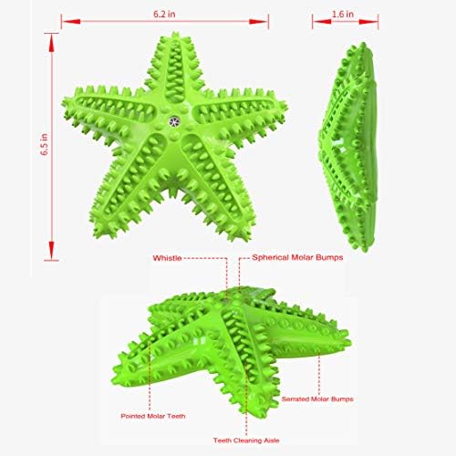 Squeaky Dog Toys - Starfish Natural Teeth Cleaning Toy for Small & Medium Dogs (Green)