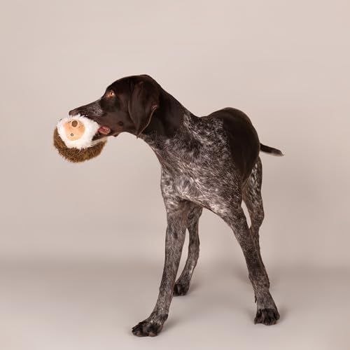 CHEWFFON Stuffed Dog Toy, Plush Squeaky Chew Toy for Boredom