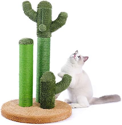 PAWZ Road Cactus Cat Scratching Post 27”Cat Scratcher with Toy Ball