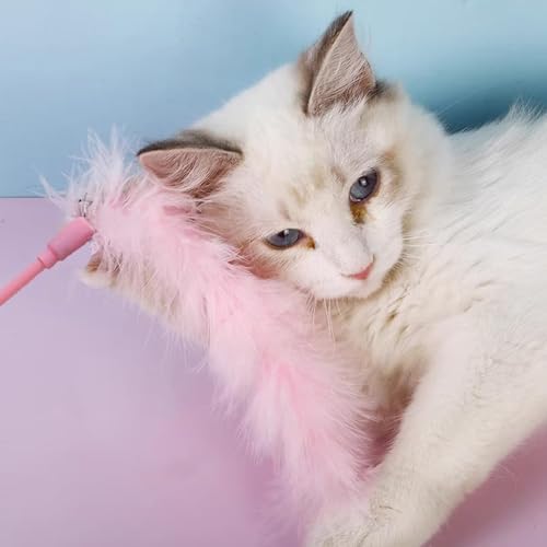 Cat Wand Toys, 3 PCS Interactive Feather Wands Colorful Cat Teaser Wand