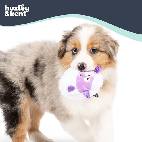 Huxley & Kent Funny Dog Toy w/Squeaker – Power Plush Squeaky Dog Toys for Small Dogs – Durable Small Stuffed Animal for Indoor Play & Fetch - Tiny Tuff Lady Baba