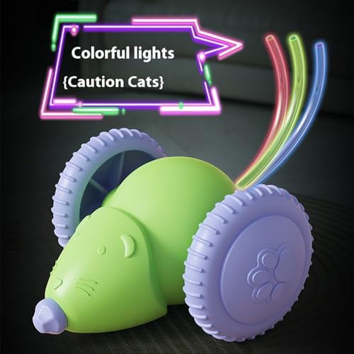 Interactive Cat Toys for Indoor Cats,Automatic Moving Kitten Toys,Cat Balls