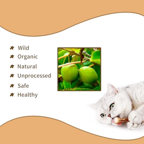 [ 35pcs Silvervine Sticks for Cats, Matatabi Cat Chew Sticks, Catnip Toys, Wooden Dental Sticks for Indoor Cats, Kitty, Kitten Teething Interactive Wand Toys