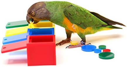 Parrot Wizard Birdie Colored Boxes Trick