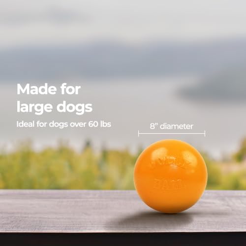 Jolly Pets Bounce-n-Play Dog Toy Ball, 8 Inches/Large, Orange, (Model: 2508 OR)