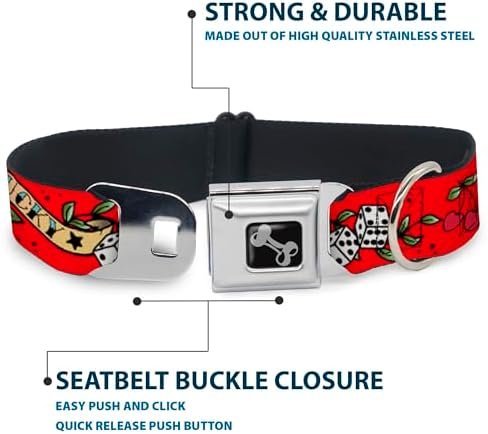 Dog Collar Seatbelt Buckle, Lucky Red, 11 to 17 Inches, 1.0 Inch Wide