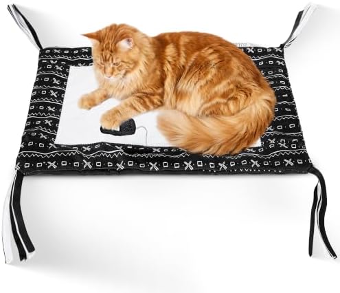 American Cat Club Reversible Crinkle Cat Mat with Mouse Toy, 18" x 13"