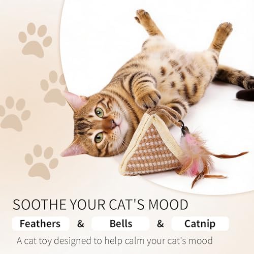 PAZ'S GIFT Cat Toy with Organic Catnip,Feathered Soft Sisal Material, Interactive Scratching and Kicking Chew Toy for Indoor Kittens