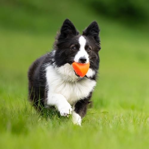 Ruff Dawg Dawg-X – Cone-Shaped Dog Toy – Bouncy, Floating Fetch Toy for Aggressive Chewers – Ideal for Interactive Outdoor Play, Exercise & Teething Relief