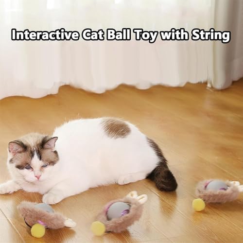 Interactive Pet Toy Ball, 2025 New Interactive Rolling Dog Ball, for Bored Indoor Cats, Automatic Rotating Rolling Balls