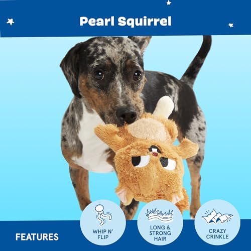 BarkBox Pearl Squirrel