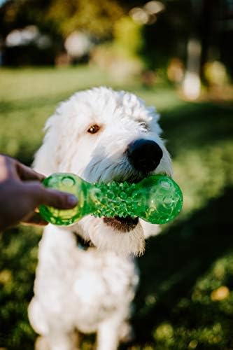 Hyper Pet Dura Squeaks Barbell Interactive Fetch Dog Toy, TPR