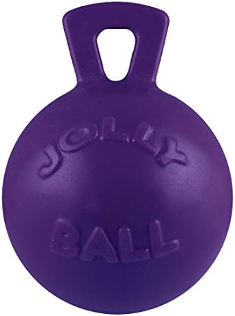 Jolly Pets Tug-n-Toss Heavy Duty Dog Toy Ball with Handle, 10 Inches/X-Large, Purple