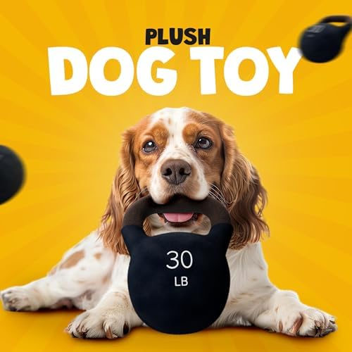 Kettlebell Dog Toy – Funny Squeaky Dog Toys for Interactive Play and Training – Durable, Easy to Clean, Birthday Gifts for Small, Medium and Large Dogs