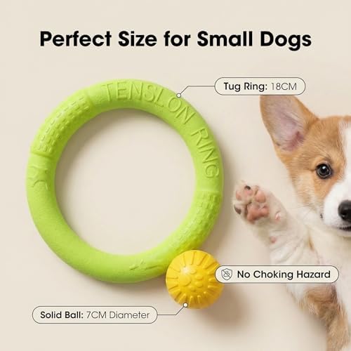 Small Dog Ball with Strap, Floating EVA Interactive Toy (Green, Small)