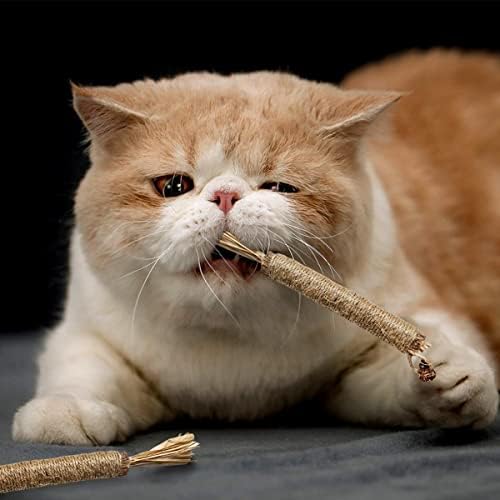 4 Pack Natural Silvervine Sticks for Cats - Chew Toys for Kittens Teeth Cleaning, Catnip Toy, Teething Stick - Interactive Kitten Toys for Indoor Cats Dental Care