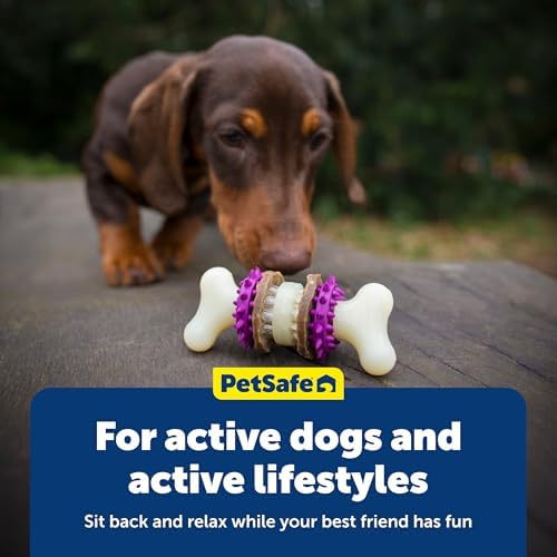PetSafe Busy Buddy Bristle Bone Dog Treat Holding Chew Toy, Small