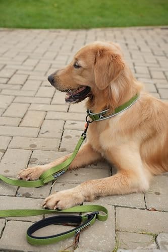 OllyDog Flagstaff Reflective Comfort Collar, Neoprene Padded Dog Collar, Reflective Trims for Night Runs, Extra Comfort for Active Dogs (Large, Cactus Woodgrain)
