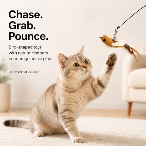 11 PCS Multi-Functional Cat Toy Replacement Heads – Realistic Handmade Bird Teasers with Bells & Detachable Clip, for Interactive Play, Indoor Enrichment & Home Decoration