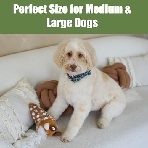 SPOT Woodsy Gnome Dog Toy - Soft, Stuffed, Squeaky, Plush Fabric Toy for Medium and Large Dogs and Puppies, Enrichment for Light Chewers and Cuddlers, 12in, Assorted Colors