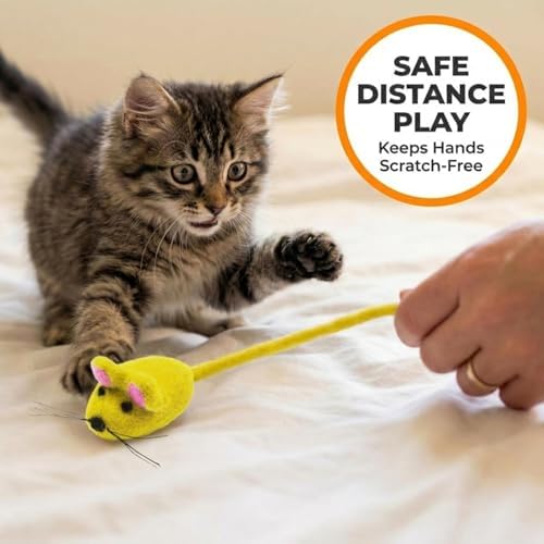 Glaciart One Felt Mouse Cat Toy – Soft Fuzzy Enrichment 100% Natural Wool - Interactive Catnip Play Cat Toy Set - Safe for Pets, Non-AZO Colored Dyes - 42” Long