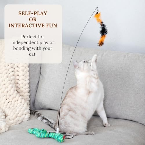 Interactive Cat Toys for Indoor Cats - Glow in Dark Octopus - XL Snake And Lizard Chew Toy - Round Base Teaser Wand - Bored Adult Feline Hunting Enrichment - Self Play Kitten Juguetes para Gatos