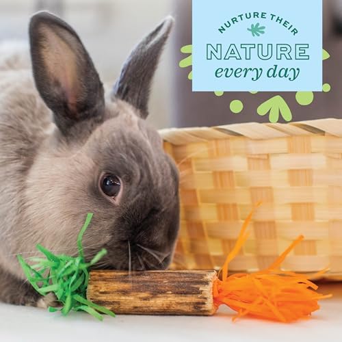 Oxbow Birthday Party Pack, Rabbit & Guinea Pig Toys, Bunny Enrichment Toys