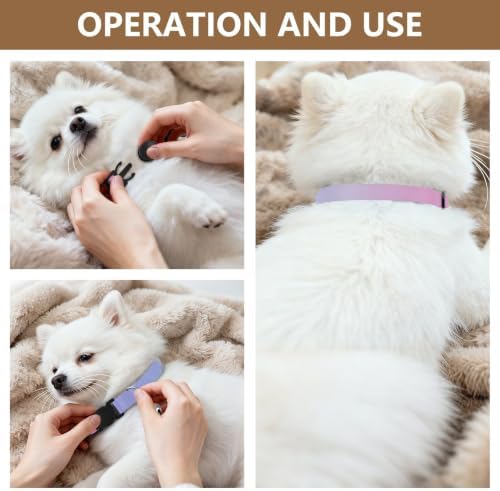 2 Pack Small Dog Collar Purple Pink Gradient Small Dog Collar with Bell, Adjustable 10.6 to 17.1 Inches